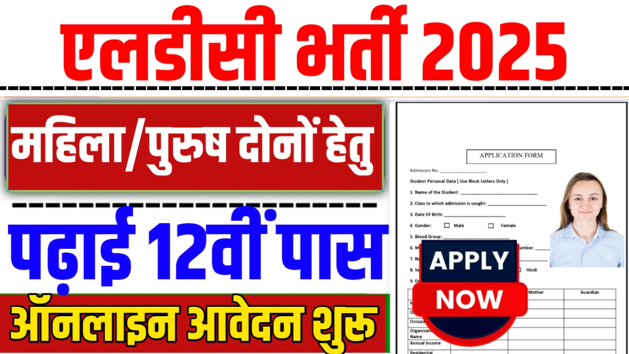 NIEPA LDC Recruitment 2025 : एलडीसी भर्ती का नोटिफिकेशन जारी, 12वीं पास करें आवेदन